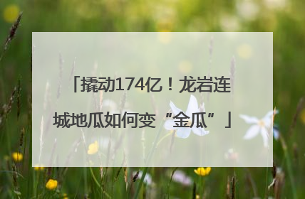 撬动174亿！龙岩连城地瓜如何变“金瓜”