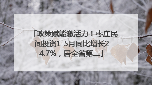 政策赋能激活力！枣庄民间投资1-5月同比增长24.7%，居全省第二