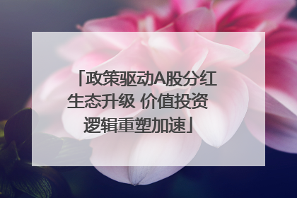 政策驱动A股分红生态升级 价值投资逻辑重塑加速