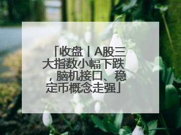 收盘丨A股三大指数小幅下跌，脑机接口、稳定币概念走强