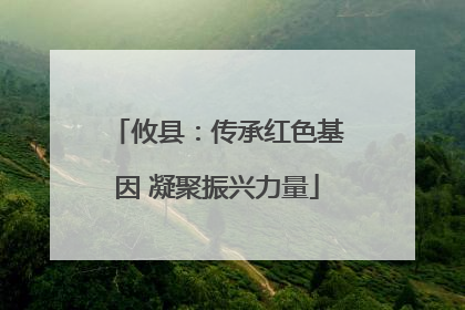 攸县：传承红色基因 凝聚振兴力量