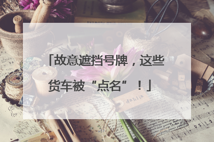 故意遮挡号牌，这些货车被“点名”！
