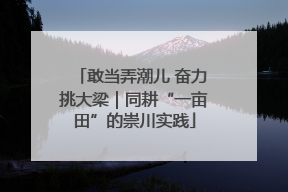 敢当弄潮儿 奋力挑大梁｜同耕“一亩田”的崇川实践
