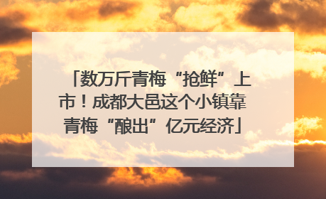 数万斤青梅“抢鲜”上市！成都大邑这个小镇靠青梅“酿出”亿元经济