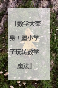 数学大变身！墨小学子玩转数学魔法