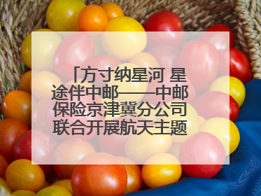 方寸纳星河 星途伴中邮——中邮保险京津冀分公司联合开展航天主题研学活动