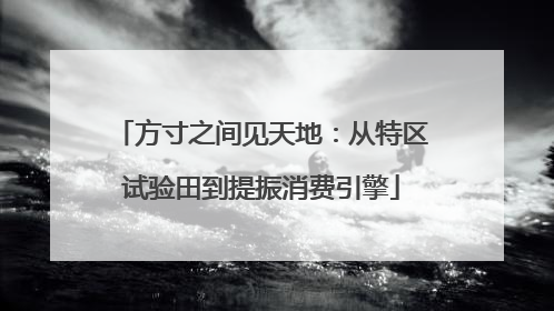 方寸之间见天地：从特区试验田到提振消费引擎