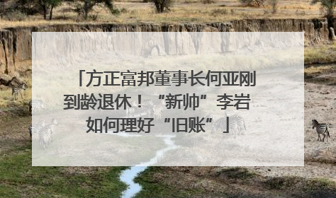 方正富邦董事长何亚刚到龄退休！“新帅”李岩如何理好“旧账”