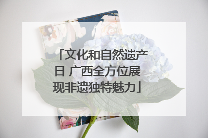 文化和自然遗产日 广西全方位展现非遗独特魅力