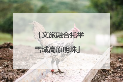 文旅融合托举雪域高原明珠