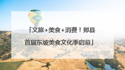 文旅+美食+消费！郏县首届东坡美食文化季启幕