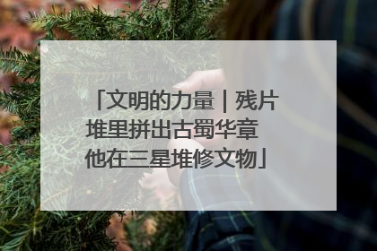 文明的力量｜残片堆里拼出古蜀华章 他在三星堆修文物