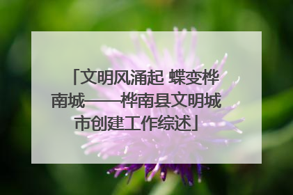 文明风涌起 蝶变桦南城——桦南县文明城市创建工作综述