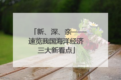 新、深、亲——速览我国海洋经济三大新看点