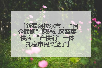 新疆阿拉尔市：“国企联姻”保障辖区蔬菜供应 “产供销”一体托稳市民菜篮子