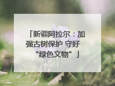新疆阿拉尔：加强古树保护 守好“绿色文物”