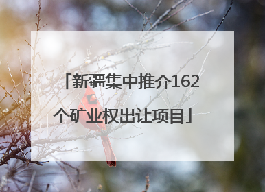 新疆集中推介162个矿业权出让项目