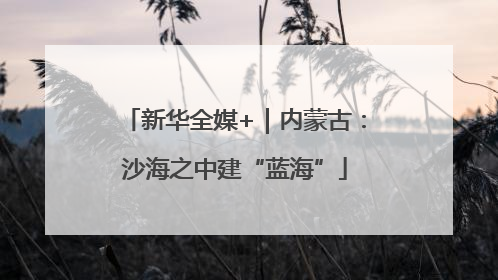 新华全媒+｜内蒙古：沙海之中建“蓝海”