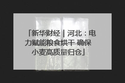 新华财经｜河北：电力赋能粮食烘干 确保小麦高质量归仓