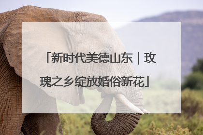 新时代美德山东｜玫瑰之乡绽放婚俗新花