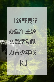 新野县举办端午主题实践活动助力青少年成长