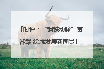 时评：“钢铁动脉”贯湘赣 绘就发展新图景