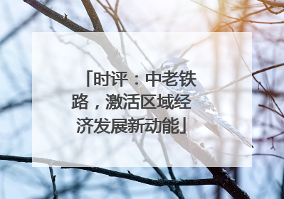 时评：中老铁路，激活区域经济发展新动能