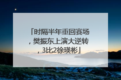 时隔半年重回赛场，樊振东上演大逆转，3比2徐瑛彬