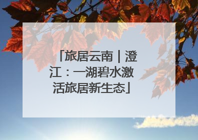 旅居云南｜澄江：一湖碧水激活旅居新生态