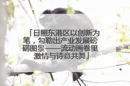 日照东港区以创新为笔，勾勒出产业发展磅礴图景——流动画卷里 激情与诗意共舞
