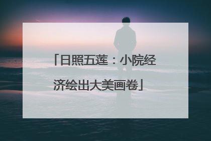 日照五莲：小院经济绘出大美画卷