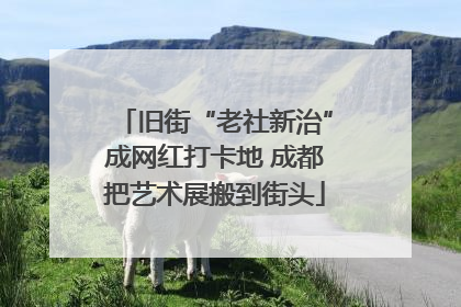 旧街“老社新治”成网红打卡地 成都把艺术展搬到街头