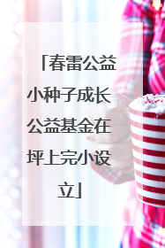 春雷公益小种子成长公益基金在坪上完小设立