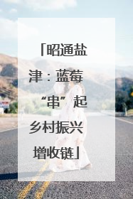 昭通盐津：蓝莓“串”起乡村振兴增收链