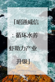 昭通威信：循环水养虾助力产业升级