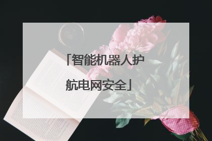 智能机器人护航电网安全