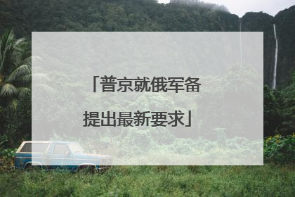 普京就俄军备提出最新要求