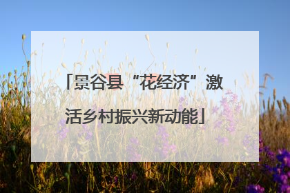 景谷县“花经济”激活乡村振兴新动能