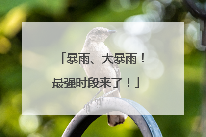 暴雨、大暴雨！最强时段来了！