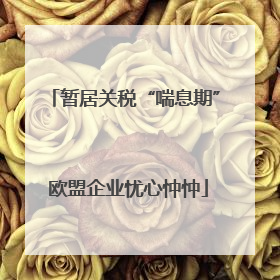 暂居关税“喘息期” 欧盟企业忧心忡忡