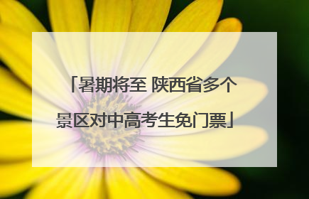 暑期将至 陕西省多个景区对中高考生免门票