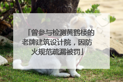 曾参与检测黄鹤楼的老牌建筑设计院，因防火规范疏漏被罚