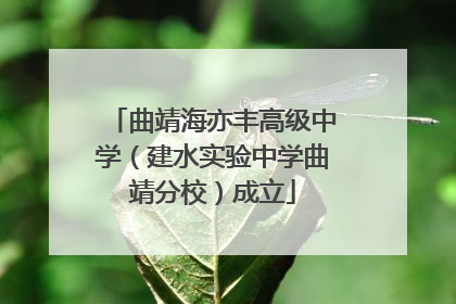 曲靖海亦丰高级中学（建水实验中学曲靖分校）成立
