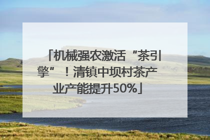 机械强农激活“茶引擎”！清镇中坝村茶产业产能提升50%