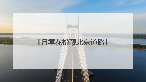 月季花扮靓北京道路