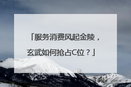 服务消费风起金陵，玄武如何抢占C位？