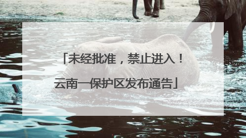 未经批准，禁止进入！云南一保护区发布通告