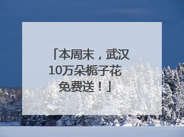 本周末，武汉10万朵栀子花免费送！