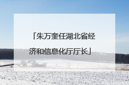 朱万奎任湖北省经济和信息化厅厅长