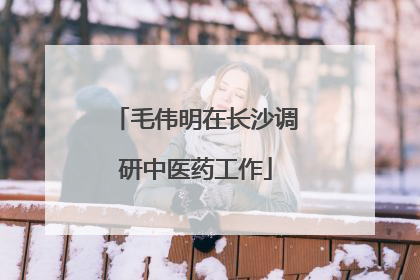 毛伟明在长沙调研中医药工作